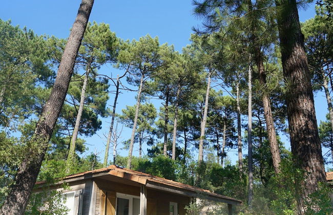 Holiday Home Near Atlantic Coast - Foto 13
