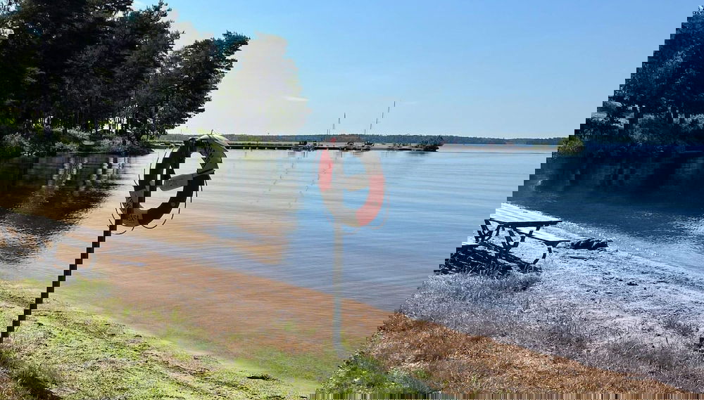 Image principale