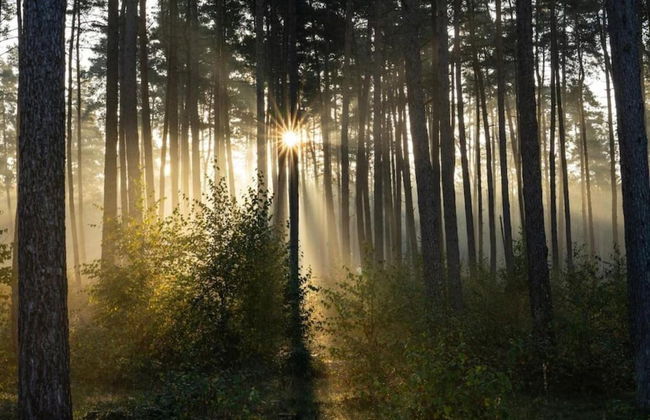 Wohnung im Teutoburger Wald Externsteine - Foto 31