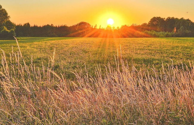 10 Person Holiday Home in Syssleback - Foto 16