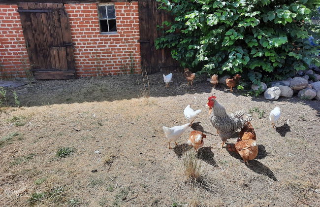 Ferienwohnung 2 am Vilzsee in Mirow - Foto 20