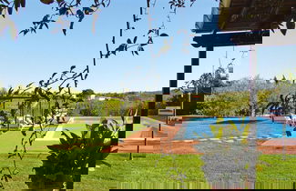 Foto 2 - Agriturismo Poggio al Sole, Vinci