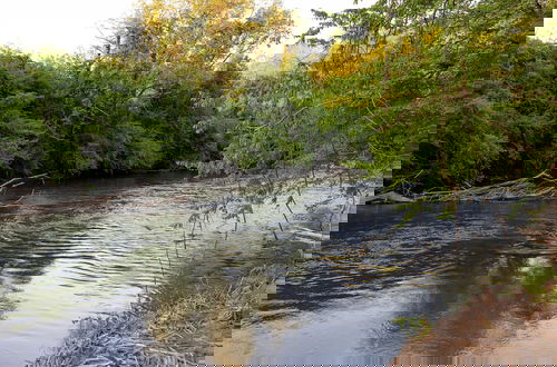 Photo 31 - Creekside Fern in Pisgah Forest