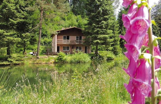 Apartment in Alsace With Nature Retreat - Photo 16