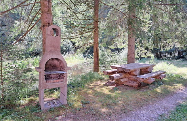 Apartment in Alsace With Nature Retreat - Photo 14