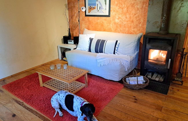 Apartment in Alsace With Nature Retreat - Photo 1