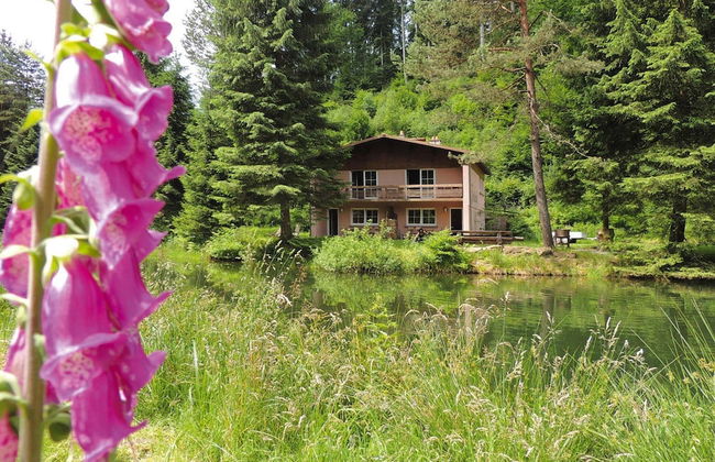 Holiday Accommodation in the Zorn Valley - Photo 19
