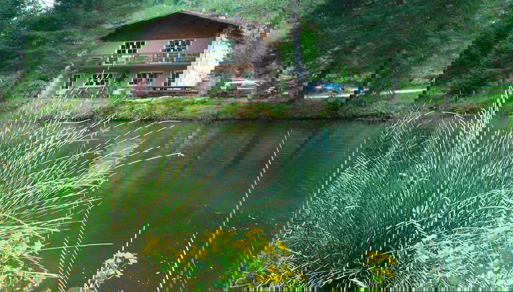 Primary image