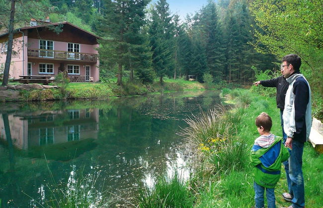 Apartment in Alsace With Nature Retreat - Photo 17
