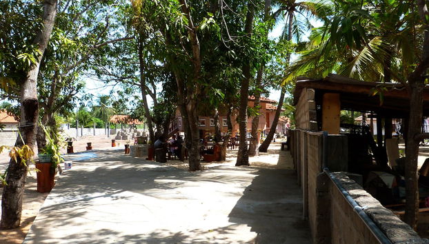 Quarto