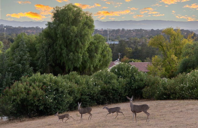 Paso Vista Bella by Avantstay Luxe Group Escape w Wine Country Views - Foto 46