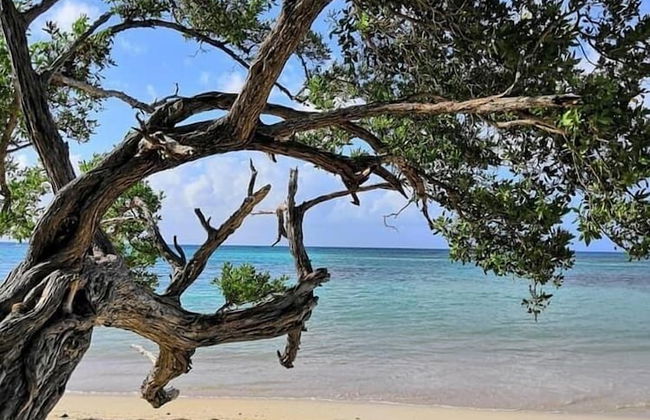 COTE PLAGE LE BALAOU - Foto 15