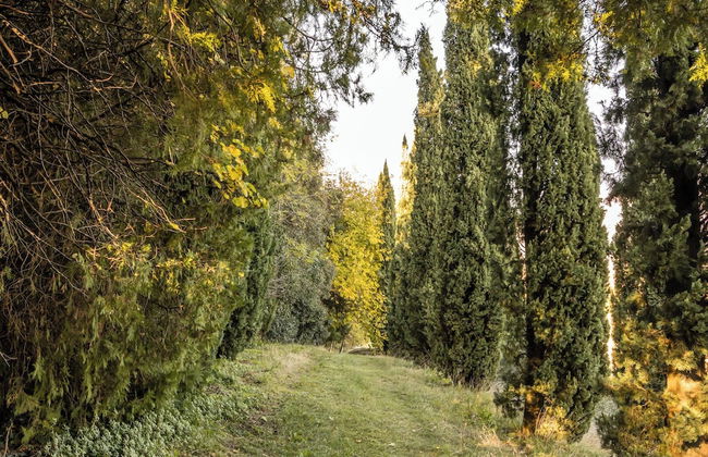 Villa Col di Luna-ProseccoHills - Photo 45