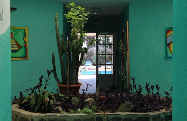 Rustic 1-bed Bungalow in Parque Holandés - Foto 18