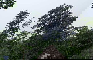 Photo 3 - copataza