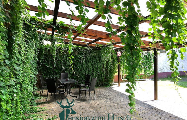 Hotel-Pension zum Hirsch - Foto 43