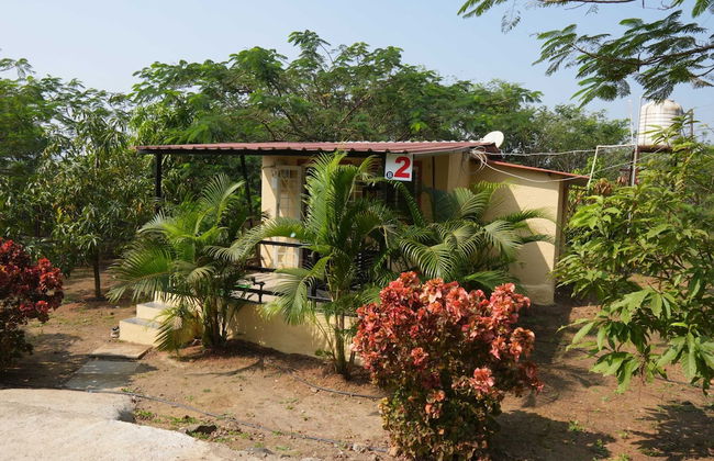 Bimal Farm Home Stay - Foto 13