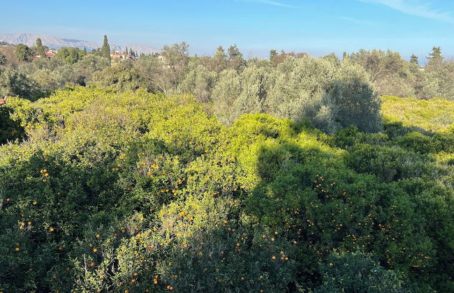 Pietra Rossa - Foto 43
