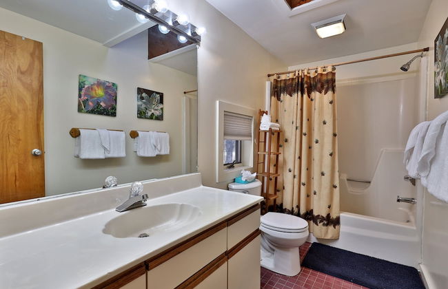 Vertical Drop 3 Bedroom Home - Foto 15