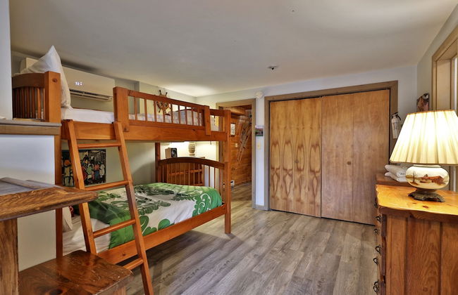 Vertical Drop 3 Bedroom Home - Foto 8