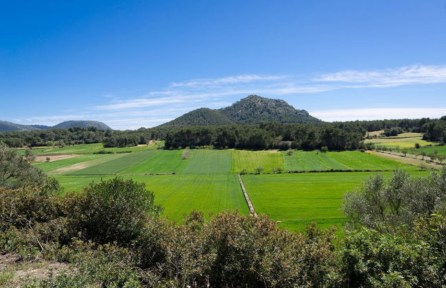Can Fiolet in Algaida - Foto 32