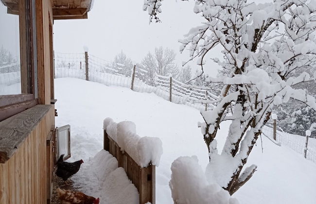 Holiday Home Near Wolfsklamm River - Foto 15