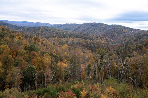 Photo 30 - Scenic Smoky Mountains Escape w/ Hot Tub