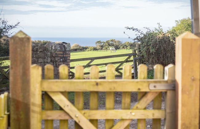Fferm-Llong - Ship Farm 2 Bed- Rhossili - Foto 37