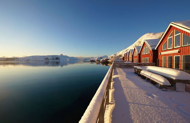 Lofoten Basecamp - Foto 64