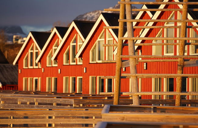 Lofoten Basecamp - Foto 53