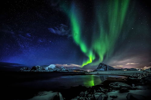 Photo 1 - Lofoten Basecamp