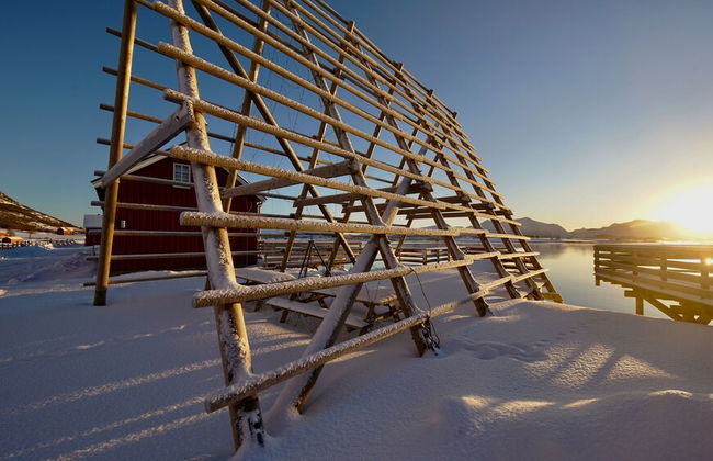 Lofoten Basecamp - Foto 63