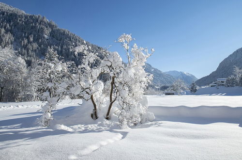 Photo 46 - Haus Valtellina