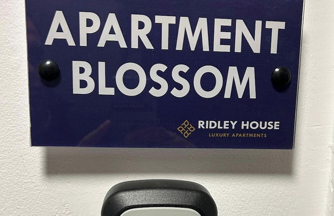 Ridley House Apartments - Foto 27