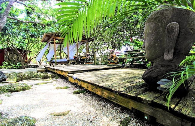 Find Peace - Tiny House in Japanese Garden - Foto 48
