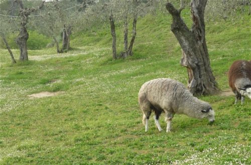 Photo 25 - Belvilla by OYO Alpaca