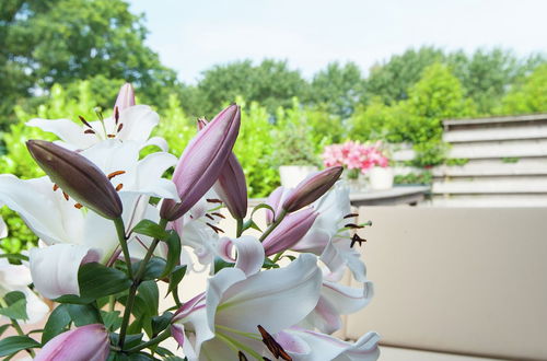 Photo 31 - Beautiful Holiday Home in Schagerbrug With Bubble Bath