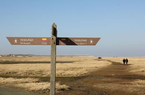 Photo 12 - Apartment in Tasteful Farmhouse in De Cocksdorp, on the Wadden Island of Texel