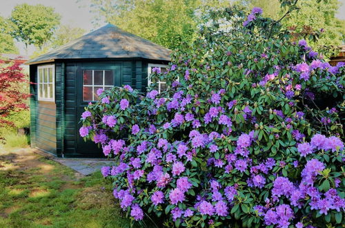 Photo 30 - Quaint Holiday Home in Garderen With Fenced Garden