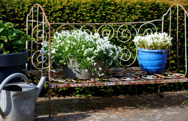 Authentic Holiday Home in Baarlo With Private Terrace - Foto 21