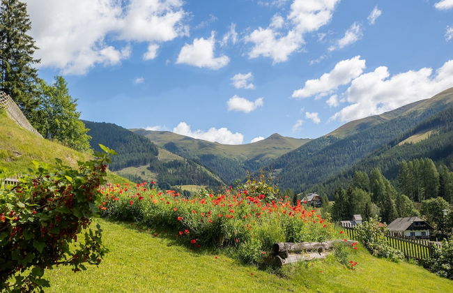 Holiday Home in Bad Kleinkirchheim - Foto 50