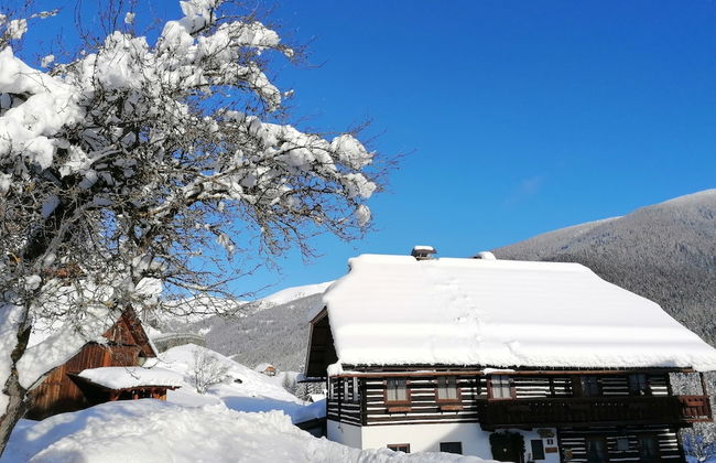 Holiday Home in Bad Kleinkirchheim - Foto 43