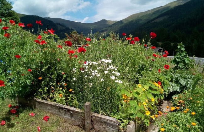 Holiday Home in Bad Kleinkirchheim - Foto 35