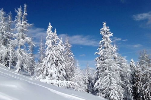 Photo 46 - Holiday Home in Bad Kleinkirchheim Near ski Area