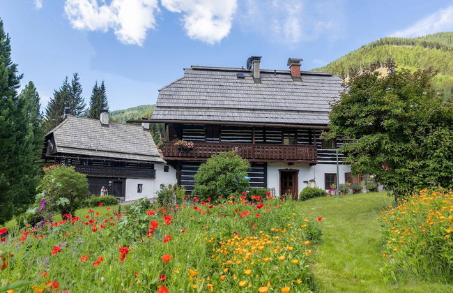 Holiday Home in Bad Kleinkirchheim - Foto 34