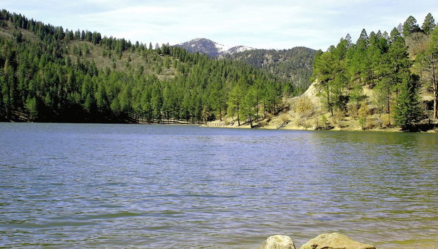 Comodidade do alojamento