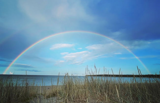 Villa Vitvikena in Gotland, Pool - Foto 38