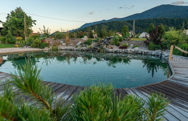 Cottage Happiness With Sauna and Natural Pool - Foto 12