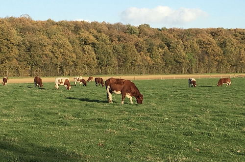 Photo 17 - Au Pré des Alizés