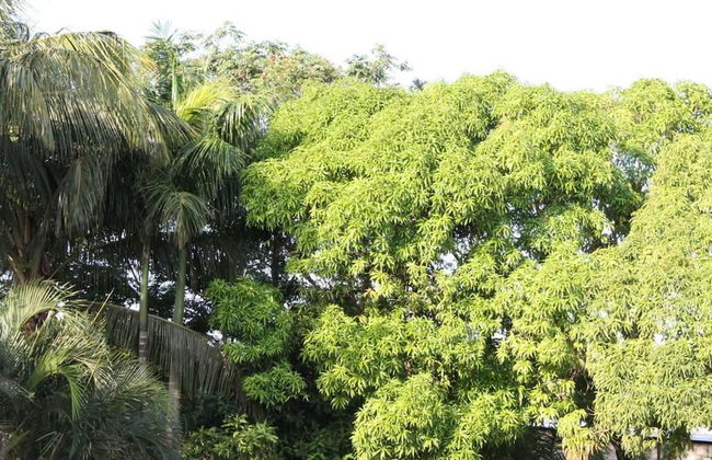 Very Charming 1-bed Studio-apartment in Paramaribo - Photo 19